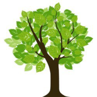 Fast Growing Trees – Cashback, Rebates & Rewards