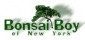 Bonsai Boy